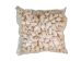 Nassa Recticulata Shells 0.625"-1" (1 kg or 2.2 lbs)   - 2HS-3246K-KG (Y3K)