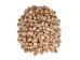 Babylonia Spirata Shells 1.5"-2" (gallon) - 2HS-3253-GA (Y3K)