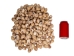 Babylonia Spirata Shells 1.5"-2" (gallon) - 2HS-3253-GA (Y3K)
