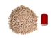 Babylonia Aerolata Shells 0.50"-0.75" (1 kg or 2.2 lbs)   - 2HS-3254K-KG (Y3KRU)