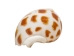 Babylonia Aerolata Shells 0.50"-0.75" (1 kg or 2.2 lbs)   - 2HS-3254K-KG (Y3KRU)