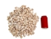 Babylonia Aerolata Shells 1"-2" (gallon)  - 2HS-3254S-GA (Y3KRU)