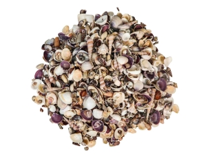 Small Indian Shell Mix 0.25"-1" (1 kg or 2.2 lbs)   