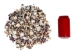 Small Indian Shell Mix 0.25"-1" (1 kg or 2.2 lbs)   - 2HS-3262K-KG (Y3K)