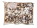 Small Indian Shell Mix 0.25"-1" (1 kg or 2.2 lbs)   - 2HS-3262K-KG (Y3K)