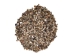 Tiny Indian Shell Mix  up to 0.25" (1 kg or 2.2 lbs)    - 2HS-3262T-KG (Y3K)