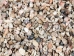 Tiny Indian Shell Mix  up to 0.25" (1 kg or 2.2 lbs)    - 2HS-3262T-KG (Y3K)