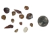Tiny Indian Shell Mix  up to 0.25" (1 kg or 2.2 lbs)    - 2HS-3262T-KG (Y3K)
