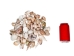 Large Indian Shell Mix 1"-3" (1 kg or 2.2 lbs)    - 2HS-3263K-KG (Y3K)
