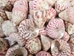 Strawberry Cone Top Shells Shells 2"-2.5" (gallon)    - 2HS-3274-GA (Y3K)
