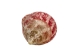Strawberry Cone Top Shells Shells 2"-2.5" (gallon)    - 2HS-3274-GA (Y3K)