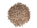 Strawberry Cone Top Shells 2"-2.50" (1 kg or 2.2 lbs)  - 2HS-3274K-KG (Y3K)