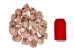 Strawberry Cone Top Shells 2"-2.50" (1 kg or 2.2 lbs)  - 2HS-3274K-KG (Y3K)