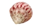 Strawberry Cone Top Shells 2"-2.50" (1 kg or 2.2 lbs)  - 2HS-3274K-KG (Y3K)