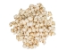 Cancelleria Undulata Shells 1"-1.50" (1 kg or 2.2 lbs) - 2HS-3288-KG (Y3K)