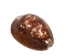 Snakehead Cowrie Shells 1"-1.50" (1 kg or 2.2 lbs)   - 2HS-3289K-KG (Y3K)