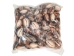 Snakehead Cowrie Shells 1"-1.50" (1 kg or 2.2 lbs)   - 2HS-3289K-KG (Y3K)