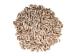 Olive Gibbosa Shells up to 1" (1 kg or 2.2 lbs)     - 2HS-3296S-KG (Y3K)