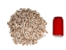 Olive Gibbosa Shells up to 1" (1 kg or 2.2 lbs)     - 2HS-3296S-KG (Y3K)