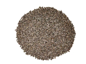 Brown Mangrove Periwinkle Shells 0.375"-0.75" (gallon)    
