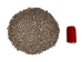 Brown Mangrove Periwinkle Shells 0.375"-0.75" (gallon)    - 2HS-3306-GA (Y3K)