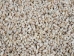 Polished Pearly Top Shells 0.25"- 0.375" (1 kg or 2.2 lbs)     - 2HS-3307K-KG (Y3K)