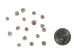 Polished Pearly Top Shells 0.25"- 0.375" (1 kg or 2.2 lbs)     - 2HS-3307K-KG (Y3K)
