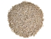 Pearled Pearly Top Shells (1 kg or 2.2 lbs) - 2HS-3308K-KG (Y3K)