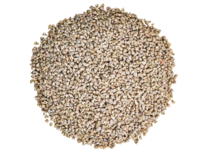 Pearled Pearly Top Shells (1 kg or 2.2 lbs) pearly top shells