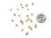 Pearled Pearly Top Shells (1 kg or 2.2 lbs) - 2HS-3308K-KG (Y3K)