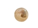 Pearled Pearly Top Shells (1 kg or 2.2 lbs) - 2HS-3308K-KG (Y3K)