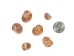 Tiger Moon Snail Shells 0.50"- 1" (1 kg or 2.2 lbs)      - 2HS-3315-KG (Y3K)