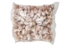 Tiger Moon Snail Shells 0.50"- 1" (1 kg or 2.2 lbs)      - 2HS-3315-KG (Y3K)