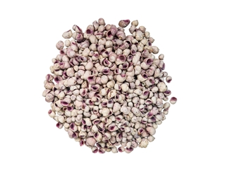 Purple Coral Shells 0.50"-0.75" (1 kg or 2.2 lbs) violet coral shells