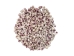 Purple Coral Shells 0.50"-0.75" (1 kg or 2.2 lbs) - 2HS-3375-KG (Y3K)