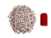 Purple Coral Shells 0.50"-0.75" (1 kg or 2.2 lbs) - 2HS-3375-KG (Y3K)