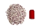 Purple Coral Shells 0.50"-0.75" (1 kg or 2.2 lbs) - 2HS-3375-KG (Y3K)