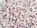 Purple Coral Shells 0.50"-0.75" (1 kg or 2.2 lbs) - 2HS-3375-KG (Y3K)