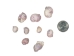 Purple Coral Shells 0.50"-0.75" (1 kg or 2.2 lbs) - 2HS-3375-KG (Y3K)