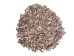 Rhinovlavis Kochi Shells 0.75"-1" (1 kg or 2.2 lbs)  - 2HS-3379-KG (Y3K)