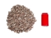 Rhinovlavis Kochi Shells 0.75"-1" (1 kg or 2.2 lbs)  - 2HS-3379-KG (Y3K)