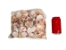 Pecen Pyxiadus Deep and Flat Mixed Shells (1 kg or 2.2 lbs) - 2HS-3396-KG (Y3K)