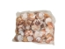Pecen Pyxiadus Deep and Flat Mixed Shells (1 kg or 2.2 lbs) - 2HS-3396-KG (Y3K)