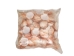 Pecen Pyxiadus Deep Shells 1.25"-1.75" (1 kg or 2.2 lbs)   - 2HS-3398-KG (Y3K)