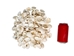 White Ark Shells 1.25"-1.75" (1 kg or 2.2 lbs)  - 2HS-3406-KG (Y3K)