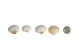 White Ark Shells 1.25"-1.75" (1 kg or 2.2 lbs)  - 2HS-3406-KG (Y3K)