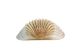 White Ark Shells 1.25"-1.75" (1 kg or 2.2 lbs)  - 2HS-3406-KG (Y3K)