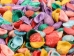 Dyed Ark Shells 0.50"-1" (1 kg or 2.2 lbs)   - 2HS-3406D-KG (Y3K)