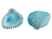 Dyed Ark Shells 0.50"-1" (1 kg or 2.2 lbs)   - 2HS-3406D-KG (Y3K)