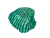 Dyed Ark Shells 0.50"-1" (1 kg or 2.2 lbs)   - 2HS-3406D-KG (Y3K)
